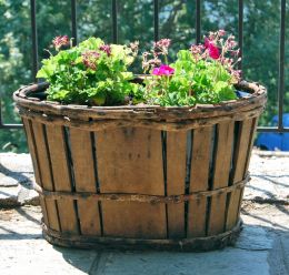 basket with flowers