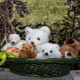 AnimalBasket