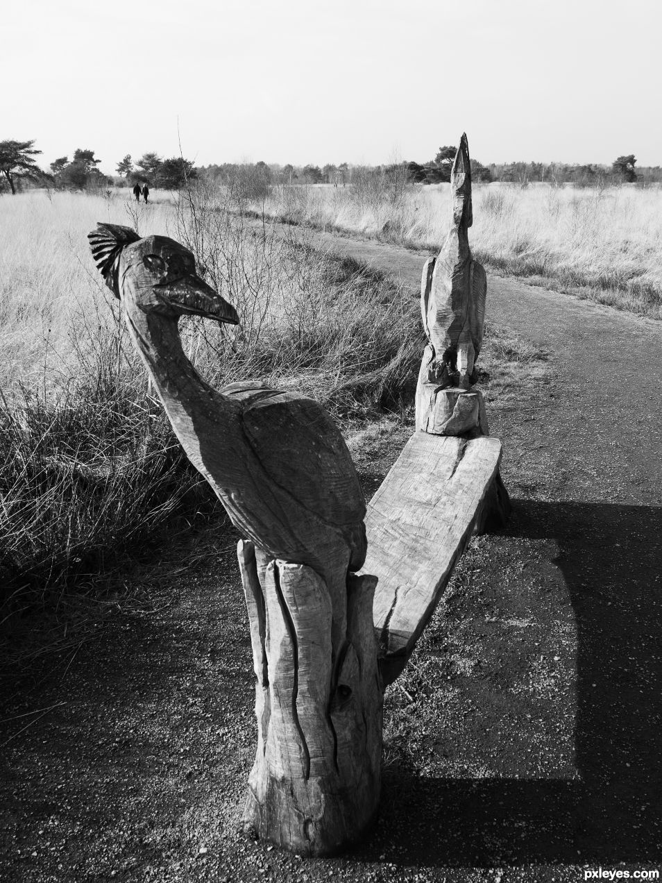 Wooden bench