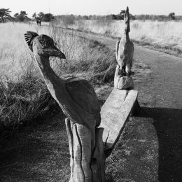 Woodenbench