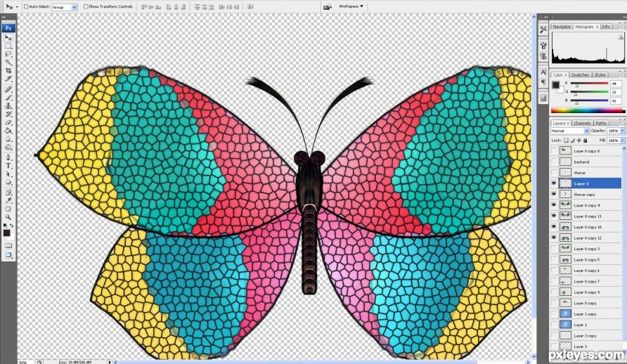 Creation of Butterfly: Step 9