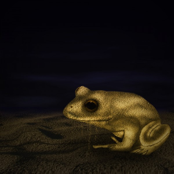 Creation of Sand Frog: Final Result