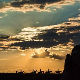 Silhouettes