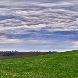 RoilingMammatus