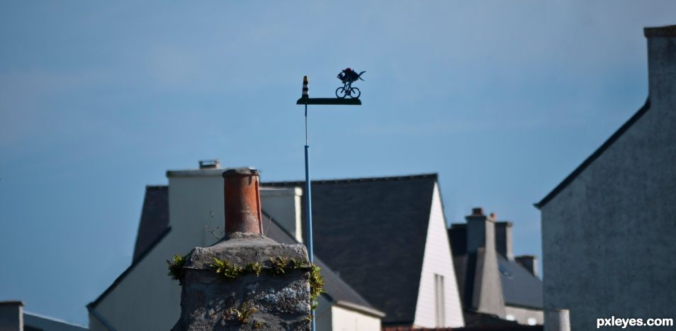 Ride over the roofs