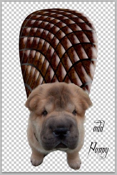 Creation of Leave It to Beaver Puppy WOOF: Step 9