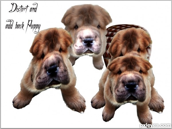 Creation of Leave It to Beaver Puppy WOOF: Step 10