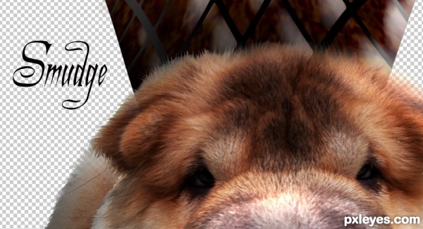 Creation of Leave It to Beaver Puppy WOOF: Step 12