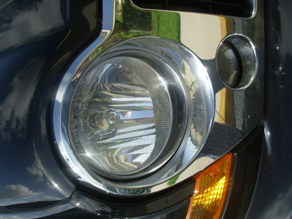 Creation of To Bee Cars or Not to Bee Cars: Step 2
