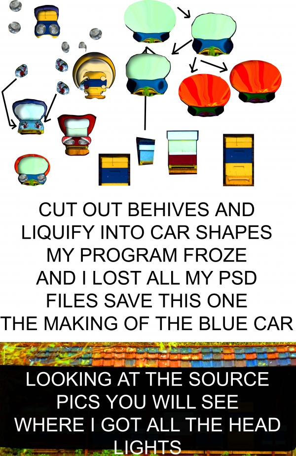 Creation of To Bee Cars or Not to Bee Cars: Step 5
