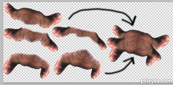 Creation of They Were All Thumbs: Step 3