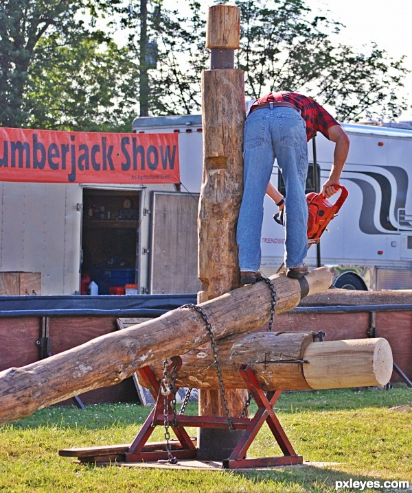 Lumberjacks Butt