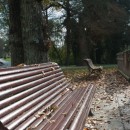 bench sideview source image