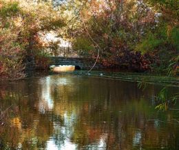 Wetlands Footbridge