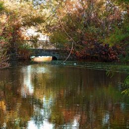 WetlandsFootbridge