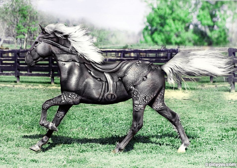 Siver Horse 