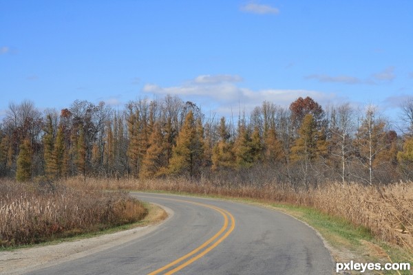 Curved Road