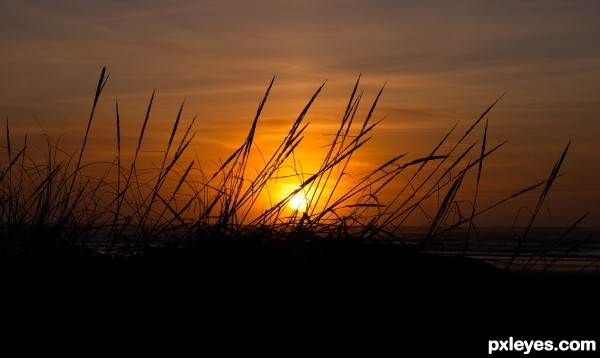 Sunset on the Beach