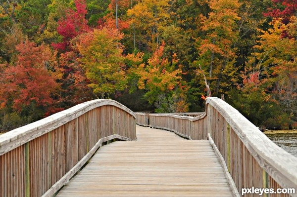 The Path to Autumn