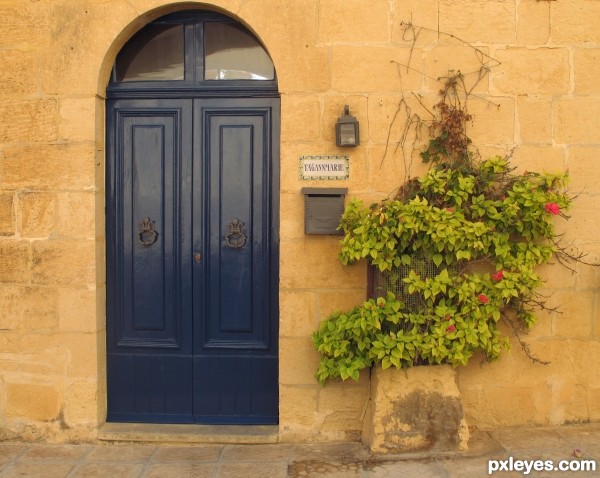 blue door