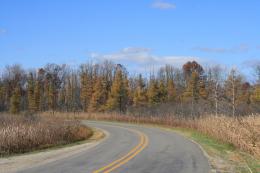 Curved Road