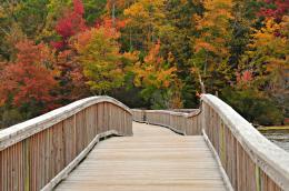 The Path to Autumn