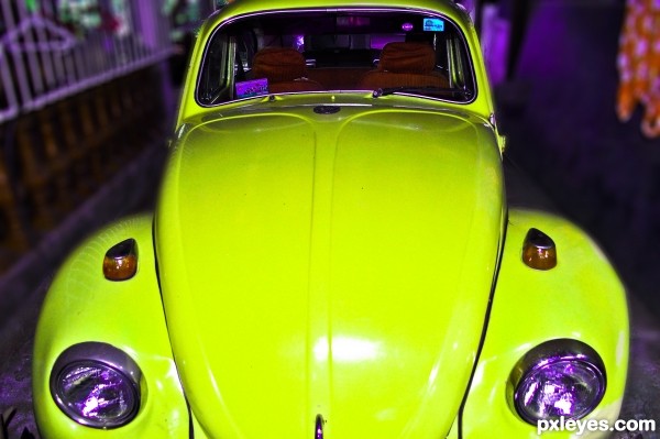 Beetle