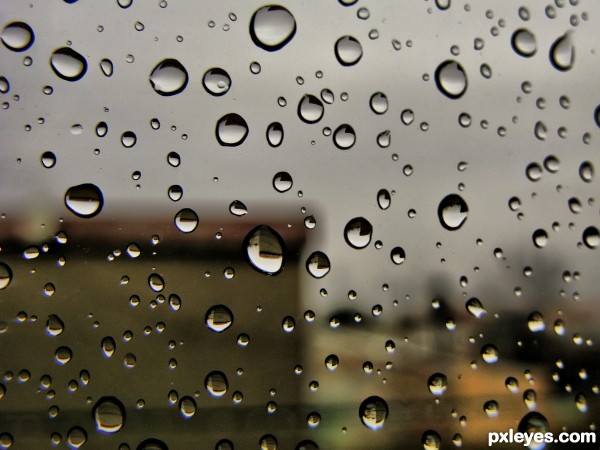 Rain picture, by wind for: best stock photography contest