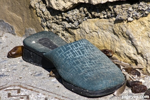 Stray slipper