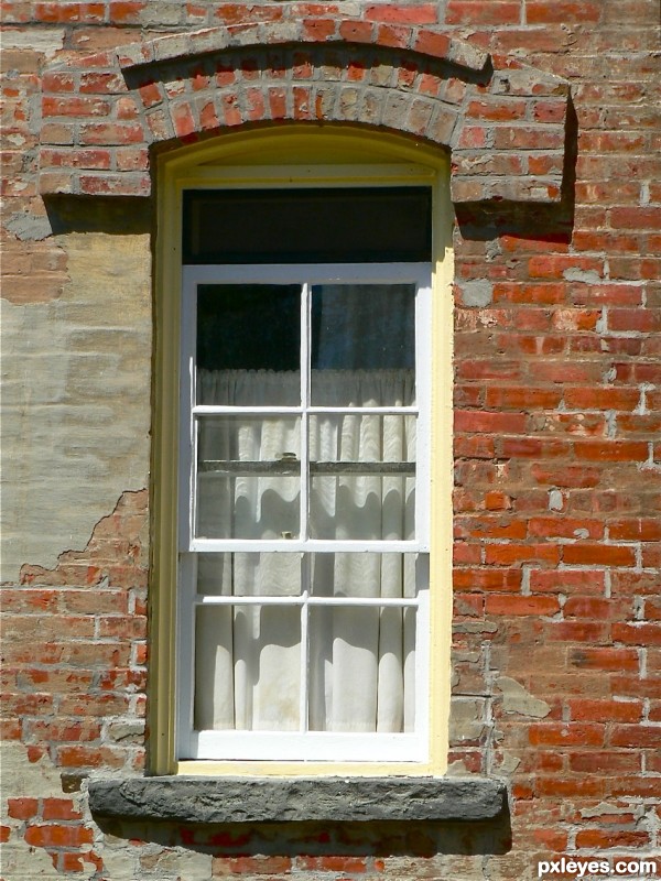 window