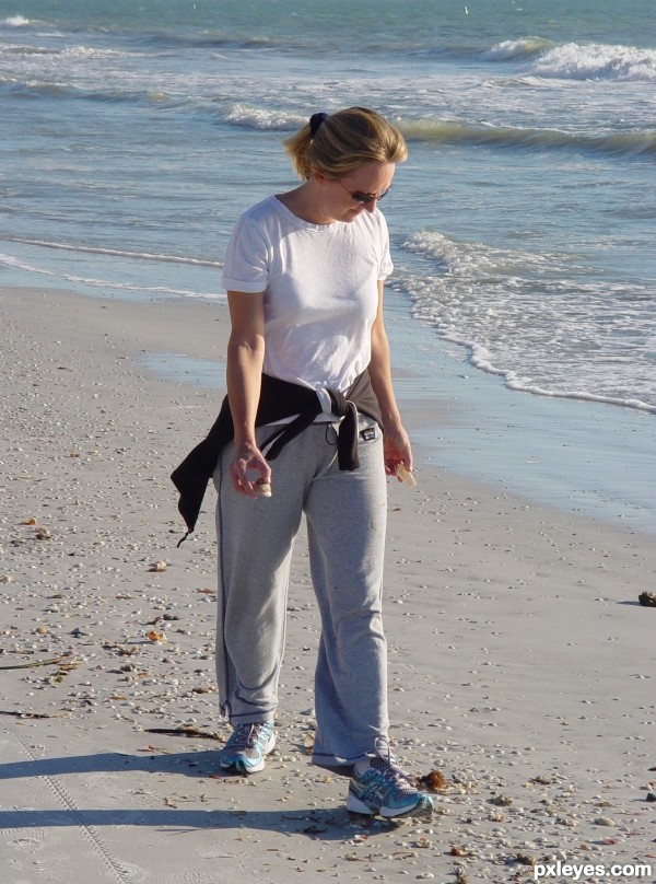 Shells on the Beach