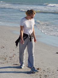 Shells on the Beach