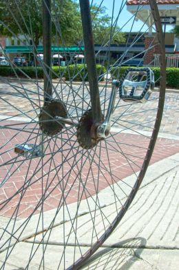 tall ride