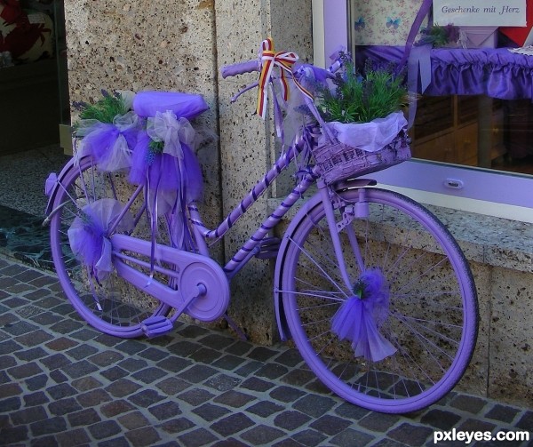 A bicycle purple