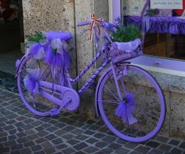 Abicyclepurple