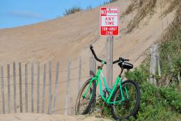 Against the Rules