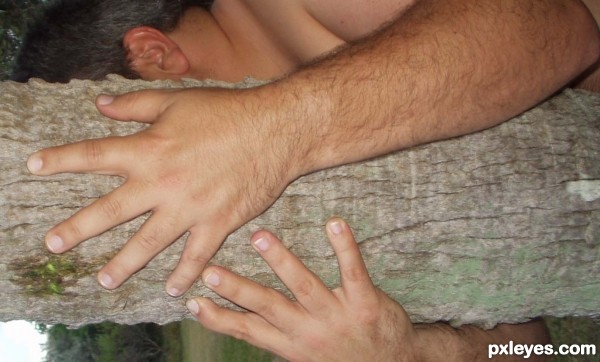 Creation of Sighting: Step 3