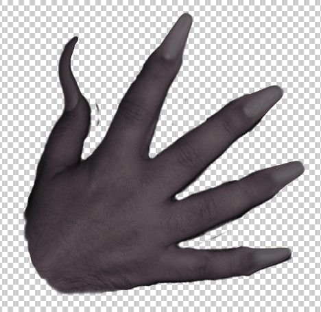Creation of Sighting: Step 4