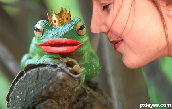 Frog Prince