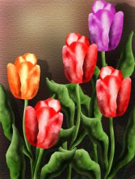 Tulips