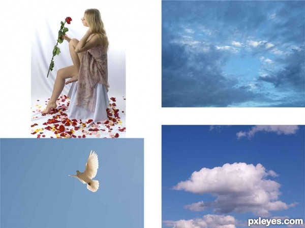 Creation of Lost rose: Step 1