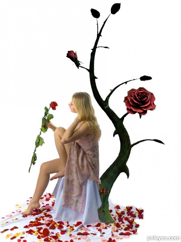 Creation of Lost rose: Step 3