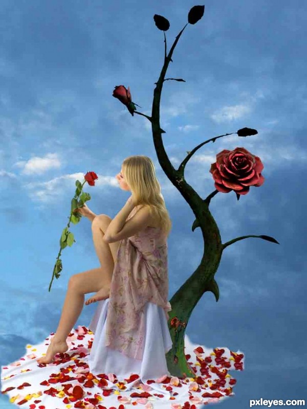 Creation of Lost rose: Step 4