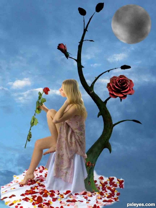 Creation of Lost rose: Step 5