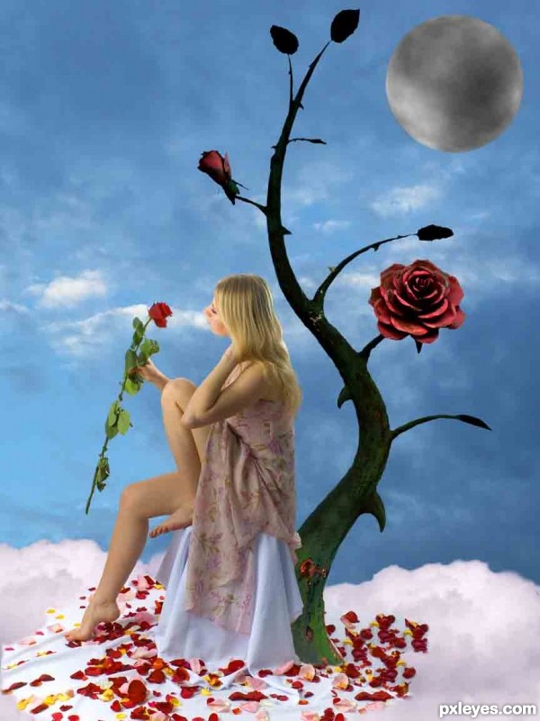 Creation of Lost rose: Step 6