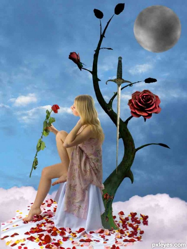 Creation of Lost rose: Step 7