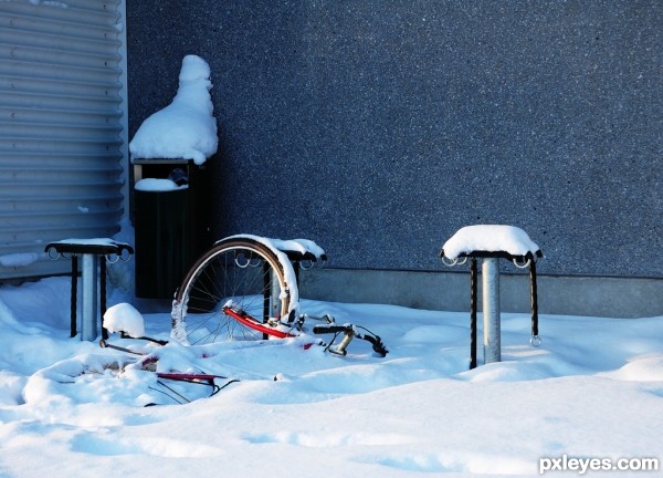 Forgotten Bicycle