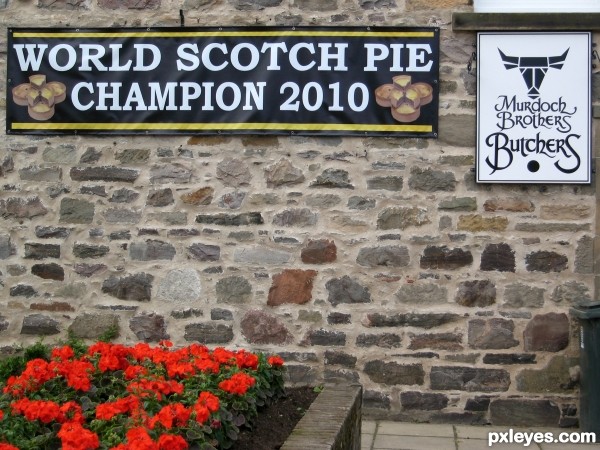 Scotch Pies