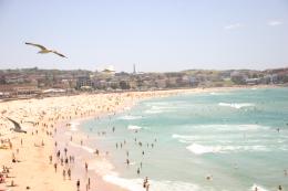 over the beach Picture