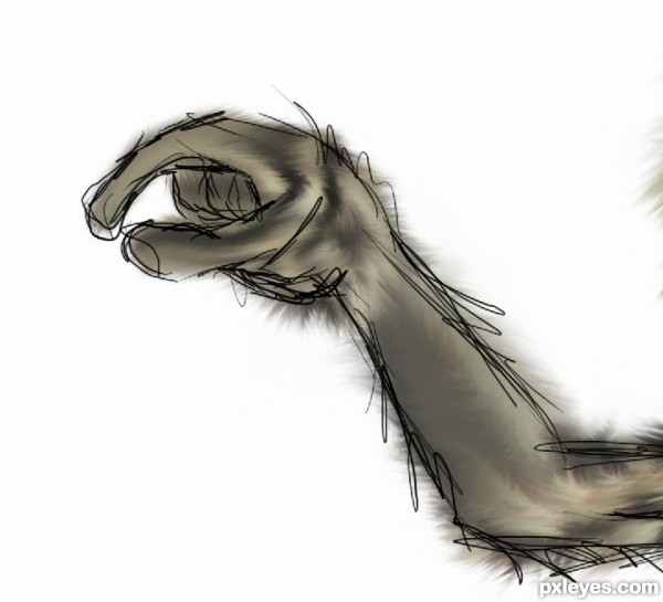 Creation of They're Rotten!: Step 11